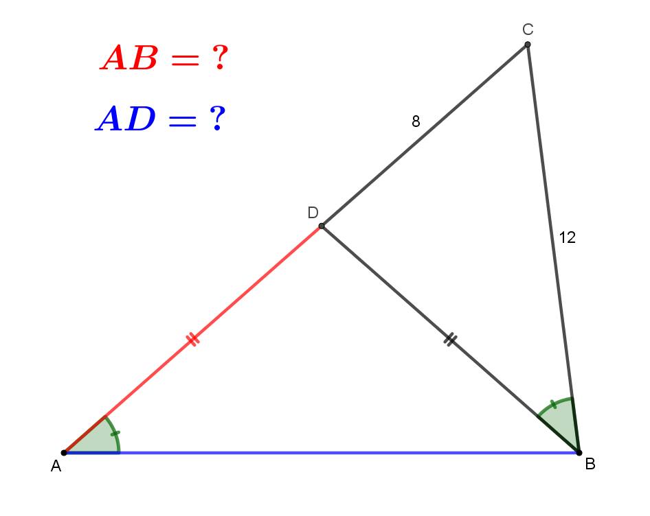 Ho un triangolo non rettangolo. Se dovessi calcolare AB e AD? – Algo ...