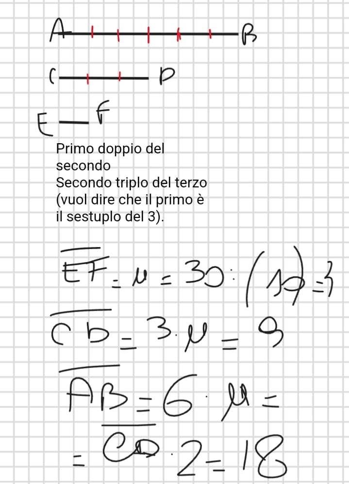 La Somma Di Tre Segmenti Misura 60 Cm. Calcola La Misura Di Ciascun ...